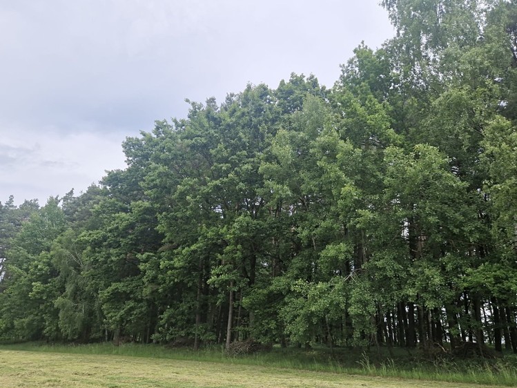 Grundstück zum Kauf, 4.924 m² (9 von 9)