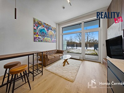 Pronájem bytu 1+kk 42 m²