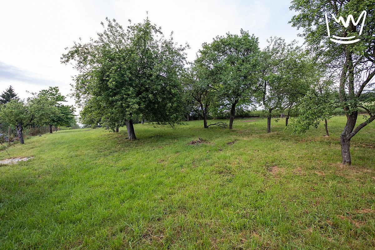 Prodej stavebního pozemku 2748 m² – fotografie 4