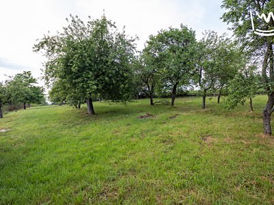 Prodej  stavebního pozemku 2 748 m² — photo 4