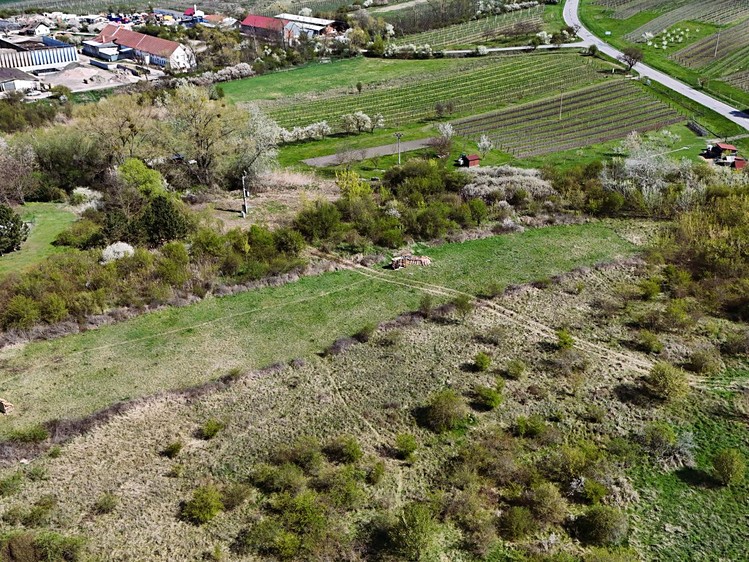Ostatní