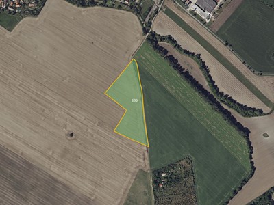 Prodej  pole 38 023 m²
