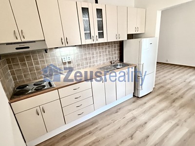 Pronájem bytu 1+1 47 m²