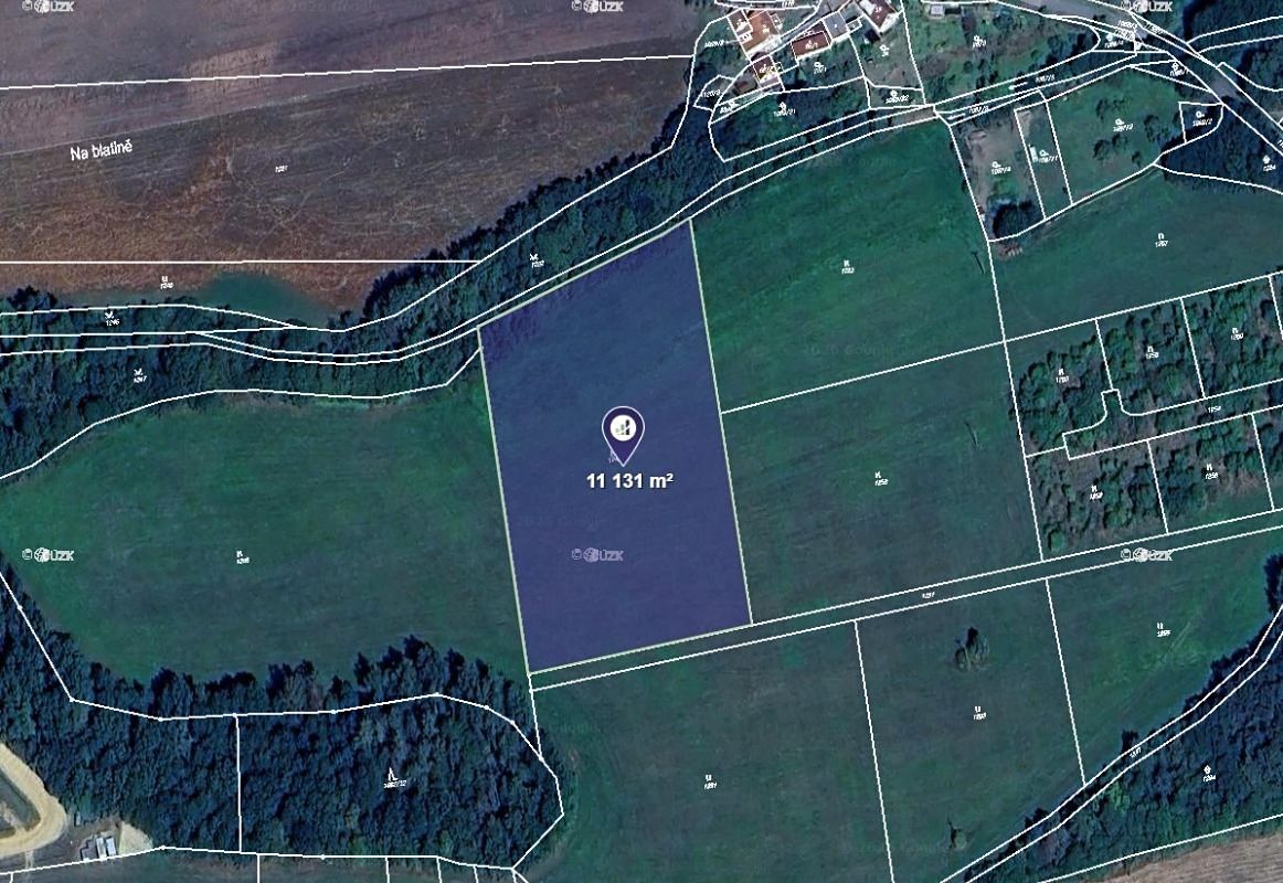 Prodej louky 11131 m², Břasy – fotka 1 z 3