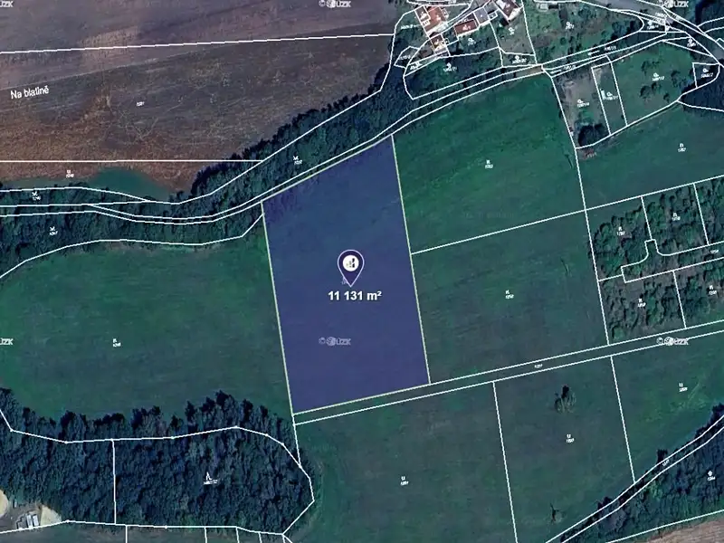 Prodej louky 11131 m², Břasy – náhled fotky 1