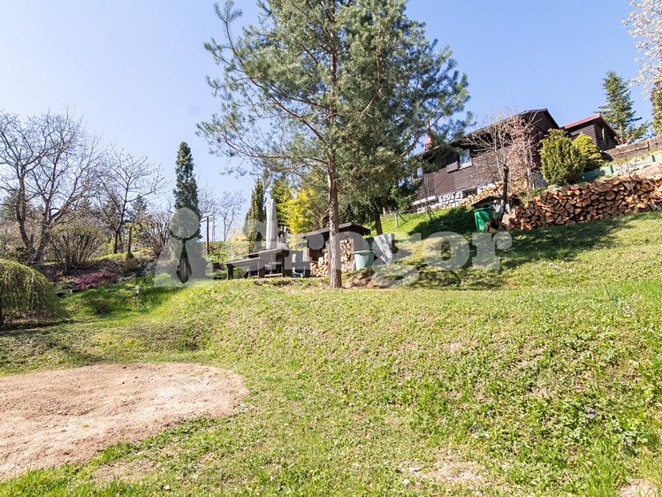 Ostatní