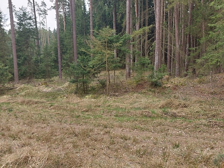 Grundstück zum Kauf, 1.295 m² (5 von 7)