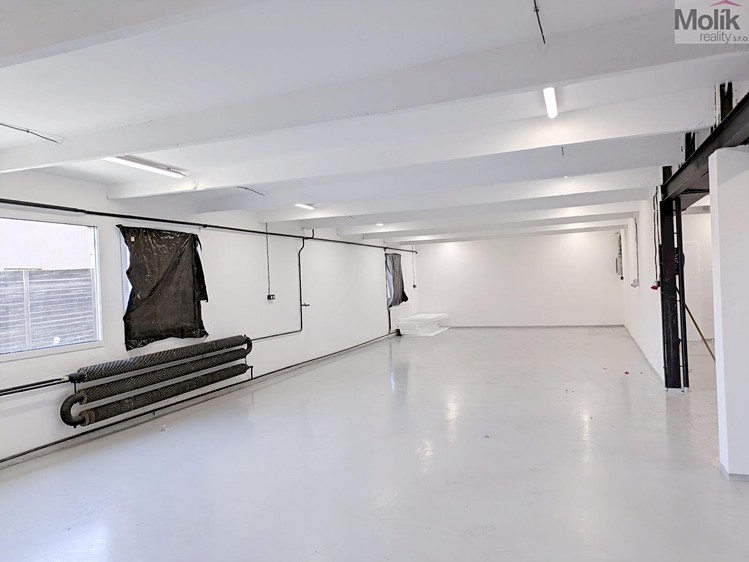 Комерційне приміщення в оренду, 198 м² (8 з 18)