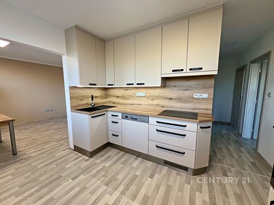 Pronájem bytu 3+1 73 m²