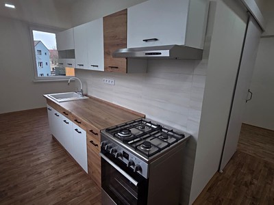 Prodej bytu 2+1 55 m² (Jednopodlažní)