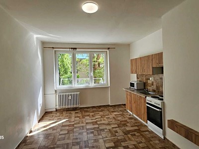 Pronájem bytu 1+kk 22 m²
