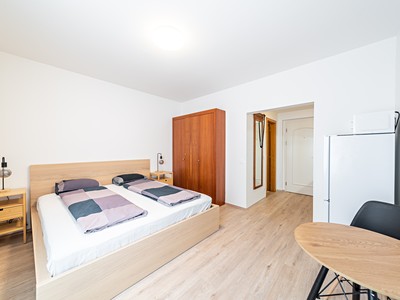 Pronájem bytu 1+kk 30 m² (Jednopodlažní)