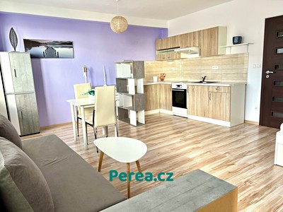 Pronájem bytu 1+kk 38 m²