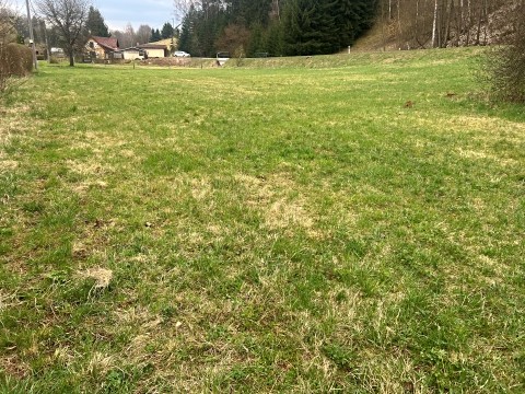 Grundstück zum Kauf, 2.510 m² (2 von 3)
