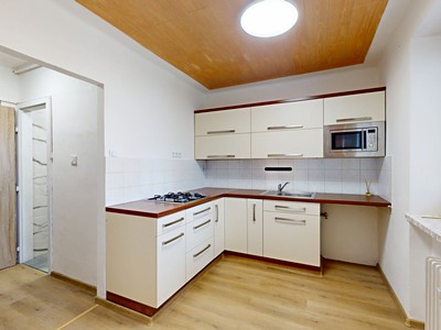 Pronájem bytu 1+1 28 m² (Jednopodlažní)
