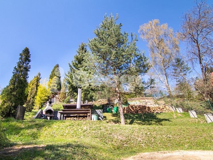 Ostatní