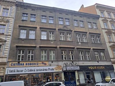 Pronájem bytu 1+1 45 m² (Jednopodlažní)