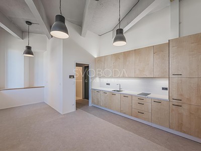 Pronájem bytu 1+kk 27 m² (Loft)