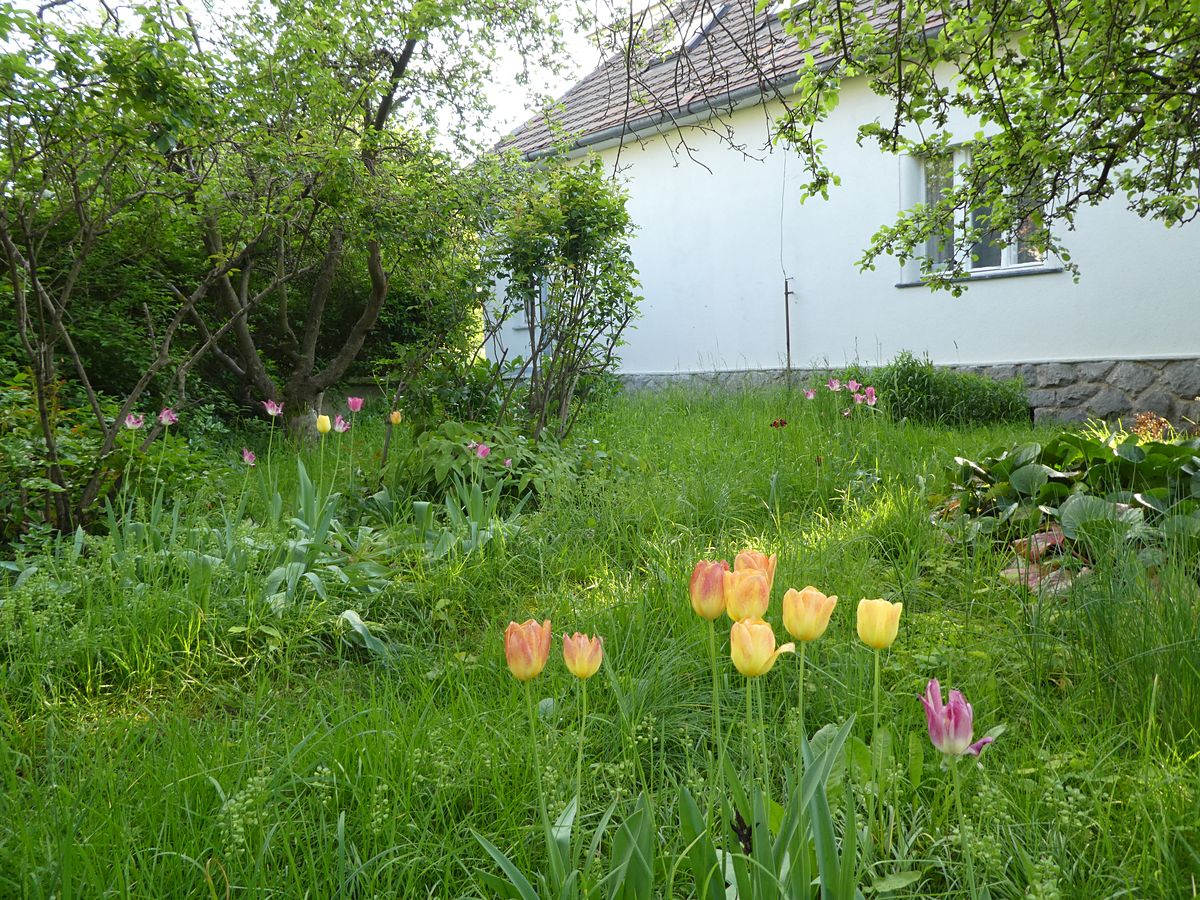 Prodej rodinného domu 159 m², pozemek 858 m² – fotografie 4