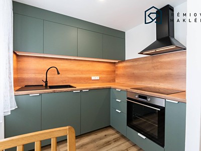 Pronájem bytu 1+1 30 m² (Jednopodlažní)