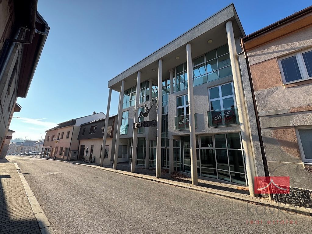 Prodej komerční nemovitosti 1000 m²