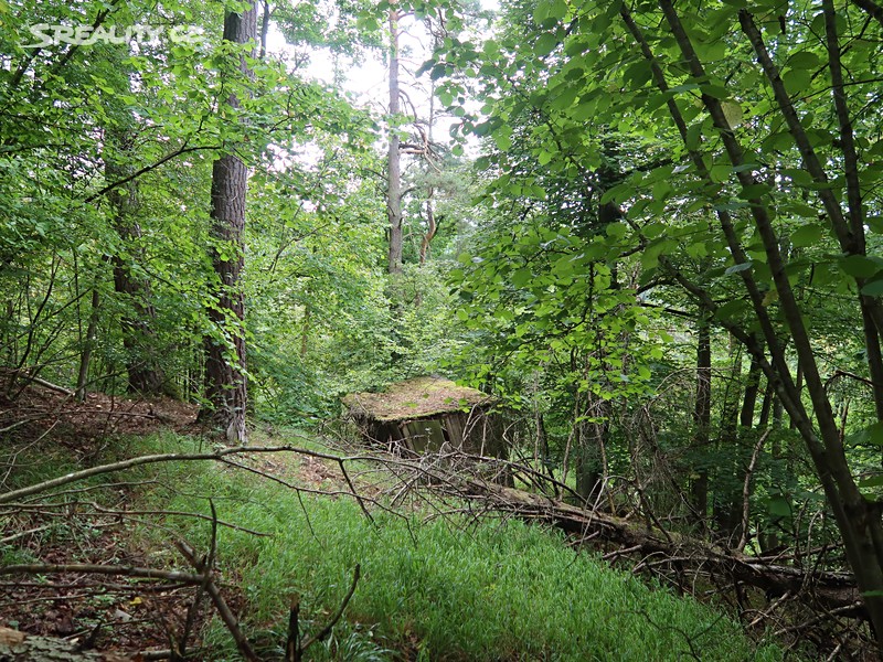 Prodej  lesa 39 640 m² – pohled 4