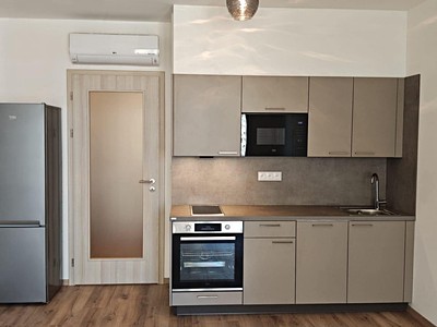Pronájem bytu 1+kk 35 m² (Jednopodlažní)