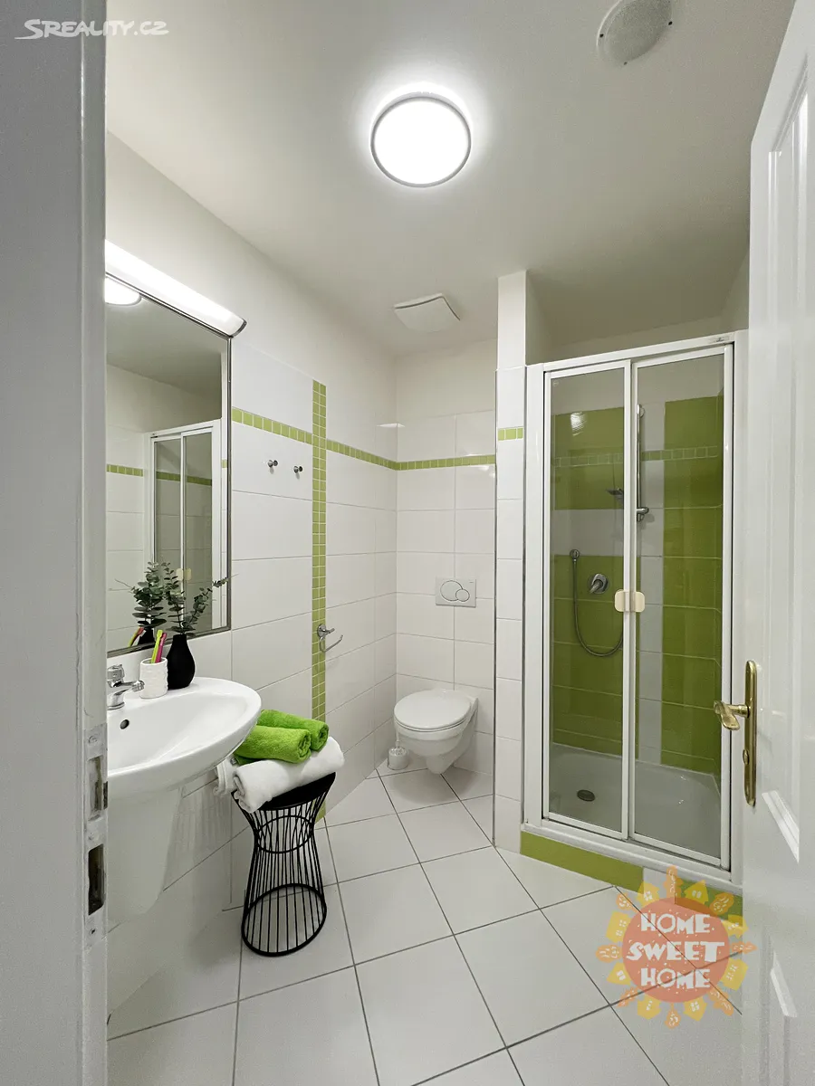 Pronájem bytu 1+kk 18 m² – pohled 5