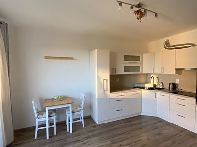 Pronájem bytu 3+kk 60 m² (Jednopodlažní)