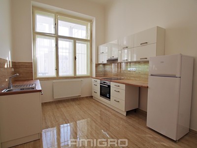 Pronájem bytu 1+1 55 m²