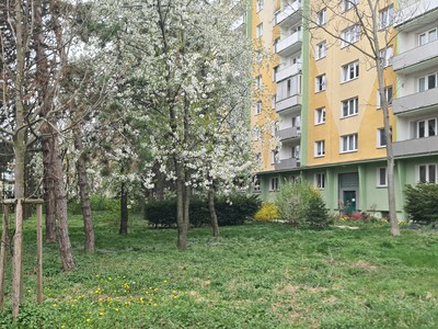 Pronájem bytu 2+1 52 m² (Jednopodlažní)