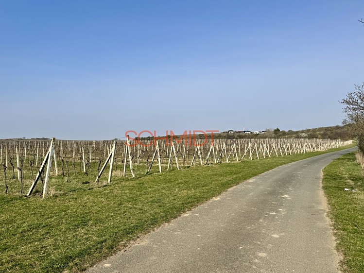 Grundstück zum Kauf, 11.748 m² (5 von 8)