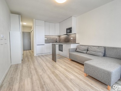 Pronájem bytu 2+kk 41 m²