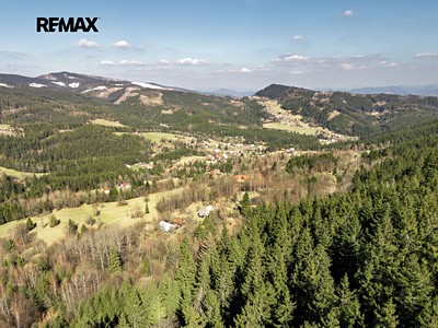 Prodej  lesa 47 764 m²