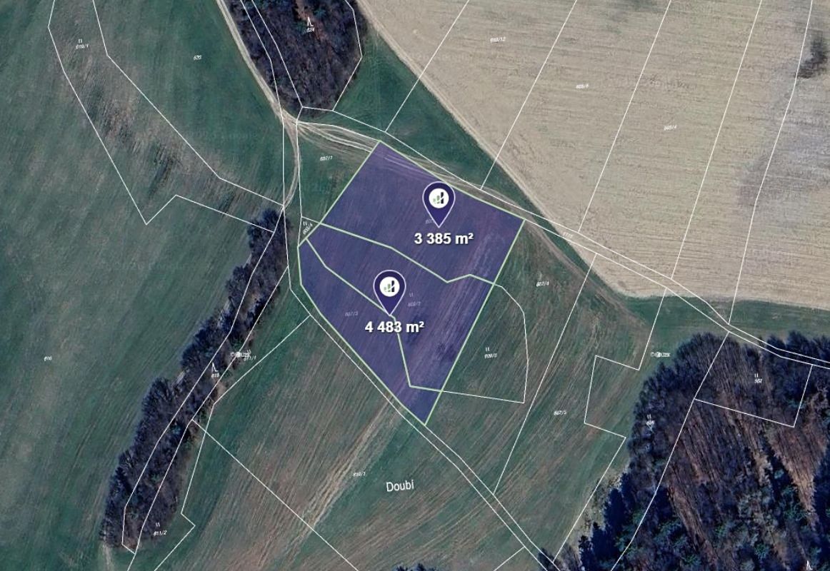 Prodej pole 7868 m²