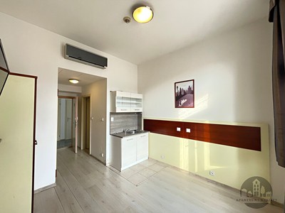 Pronájem bytu 1+kk 16 m²