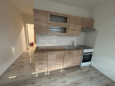 Pronájem bytu 1+1 42 m² (Jednopodlažní)