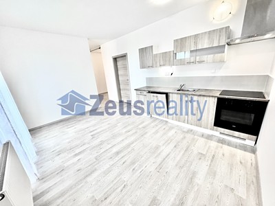 Pronájem bytu 1+kk 39 m²