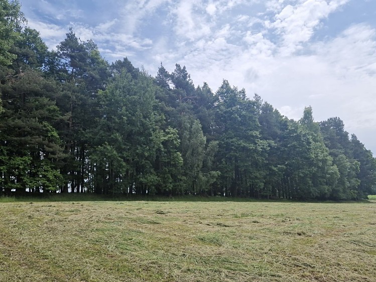 Grundstück zum Kauf, 4.924 m² (7 von 9)