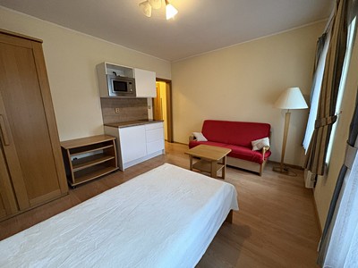Pronájem bytu 1+kk 19 m²