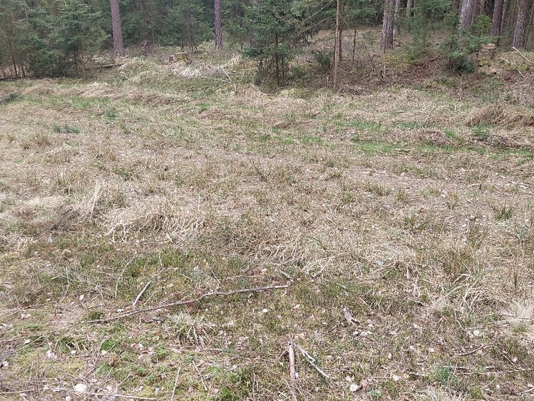 Grundstück zum Kauf, 1.295 m² (7 von 7)
