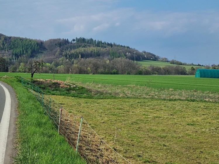 Pronájem pozemku, 850 m² (6 z 7)