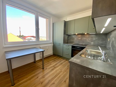 Pronájem bytu 1+1 30 m²