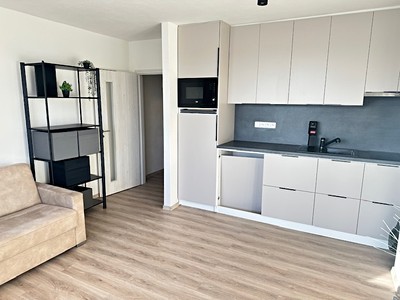 Pronájem bytu 1+kk 26 m²