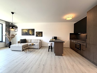 Pronájem bytu 1+kk 59 m²