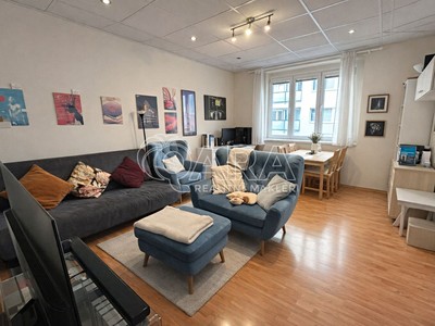 Pronájem bytu 2+1 46 m²