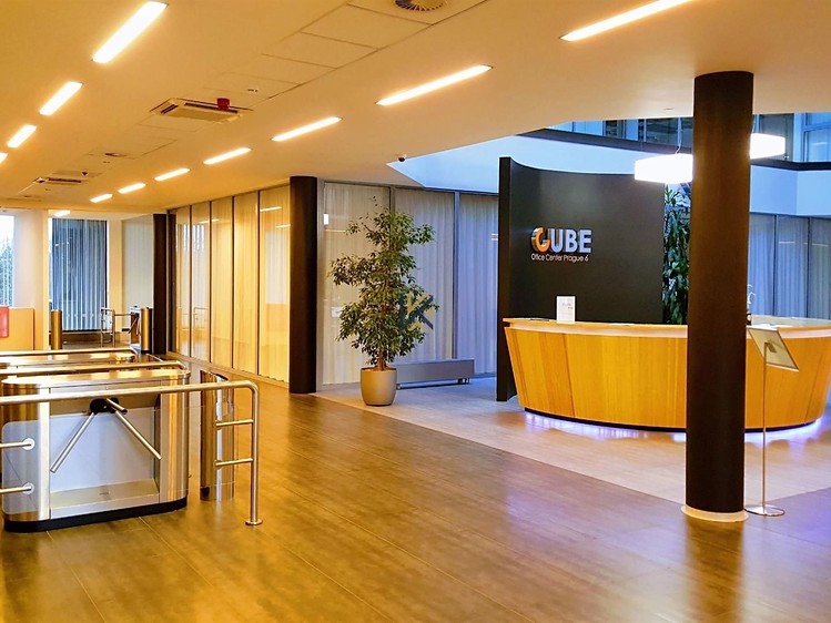 Pronájem komerčního prostoru, 277 m² (9 z 11)