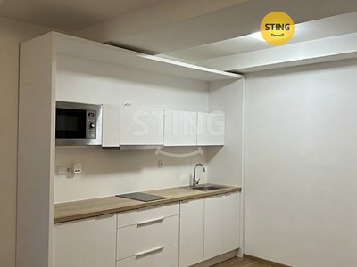 Pronájem bytu 1+kk 30 m²