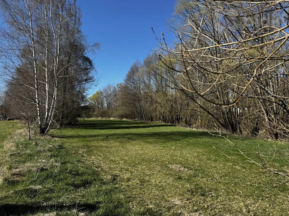 Fotka 10 z 13