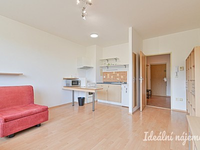 Pronájem bytu 1+kk 33 m²